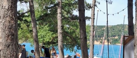 Zona de playa con árboles, mesas al aire libre y vista al mar.