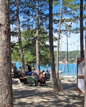 A beachside area with trees, outdoor seating, and a view of the sea.