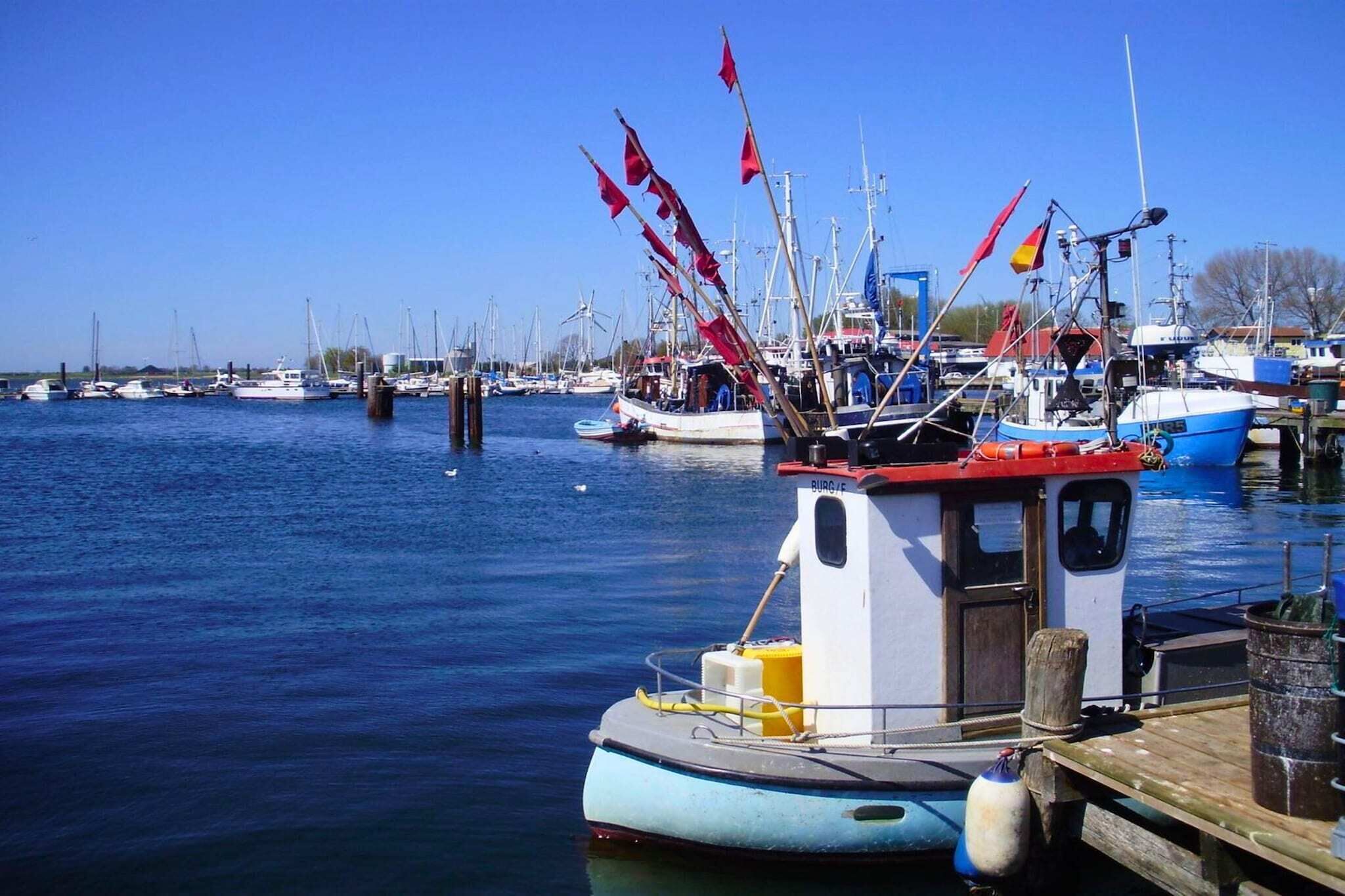 A marina with various boats docked, including a prominent blue and white boat in the foreground.