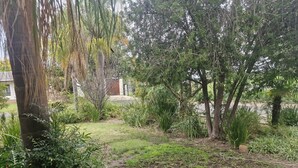 Um jardim com diversas plantas e árvores, uma área gramada e um edifício ao fundo.