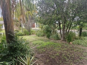 Ein Garten mit verschiedenen Pflanzen und Bäumen, einer Rasenfläche und einem Gebäude im Hintergrund.