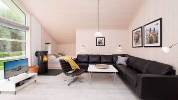 Smart-TV, Kamin