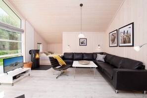 Smart-TV, Kamin