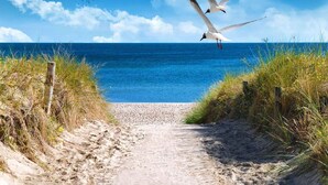 A beach path leading to the sea with seagulls flying overhead. - Grobenbrode Escape für 10 (Großenbrode)