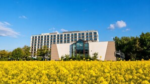 Ein modernes Hotel mit einem großzügigen Gebäude, einem zentralen Glaseingang und einem Feld gelber Blumen im Vordergrund.