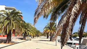 A coastal promenade lined with palm trees and a marina with boats. - The Good Life… (Fréjus)