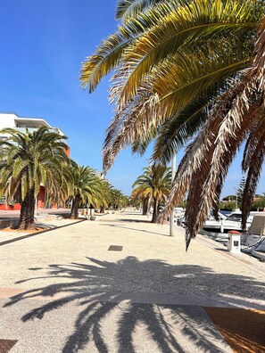 Eine Küstenpromenade gesäumt von Palmen und ein Yachthafen mit Booten.