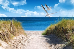 Playa