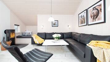 Smart TV, fireplace, DVD player, stereo