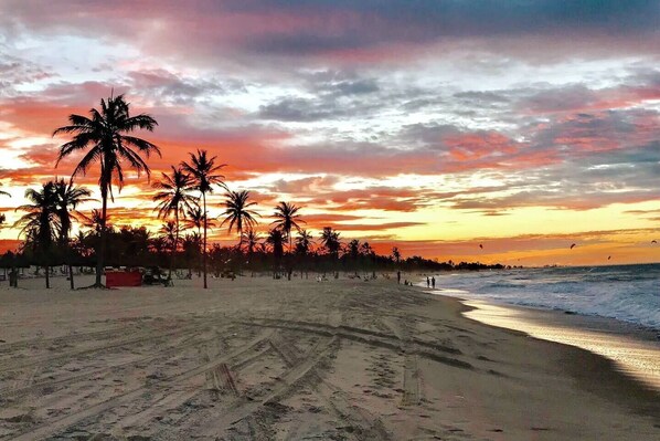 Una playa con palmeras y un atardecer.