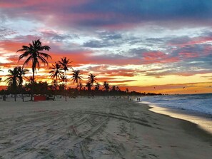 A beach with palm trees and a sunset.