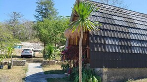 A rural house with a metal roof, a concrete pathway, and various plants. - Cozzy Bilva Garden (Klungkung)