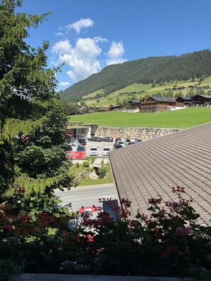 Property grounds - Vacation rental in Alpbach for up to 4 people, including the Alpbachtal Card (Alpbach)
