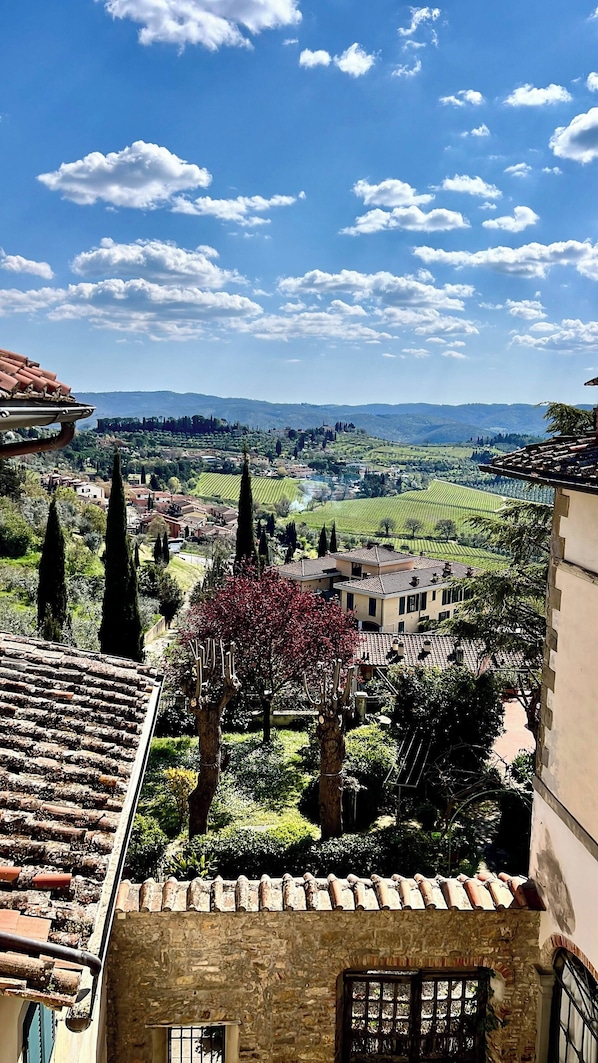 View from property - Panzano34 A Charming Loft in the Heart of Chianti (Greve in Chianti)