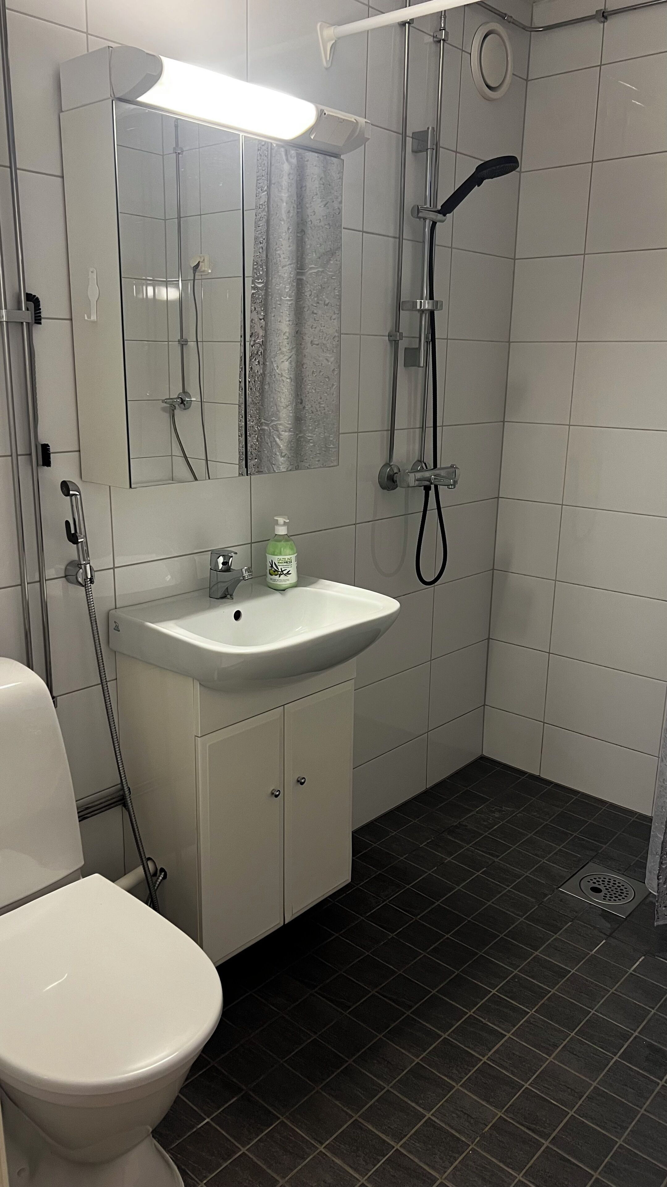 Hårføner, bidé, håndklær og såpe