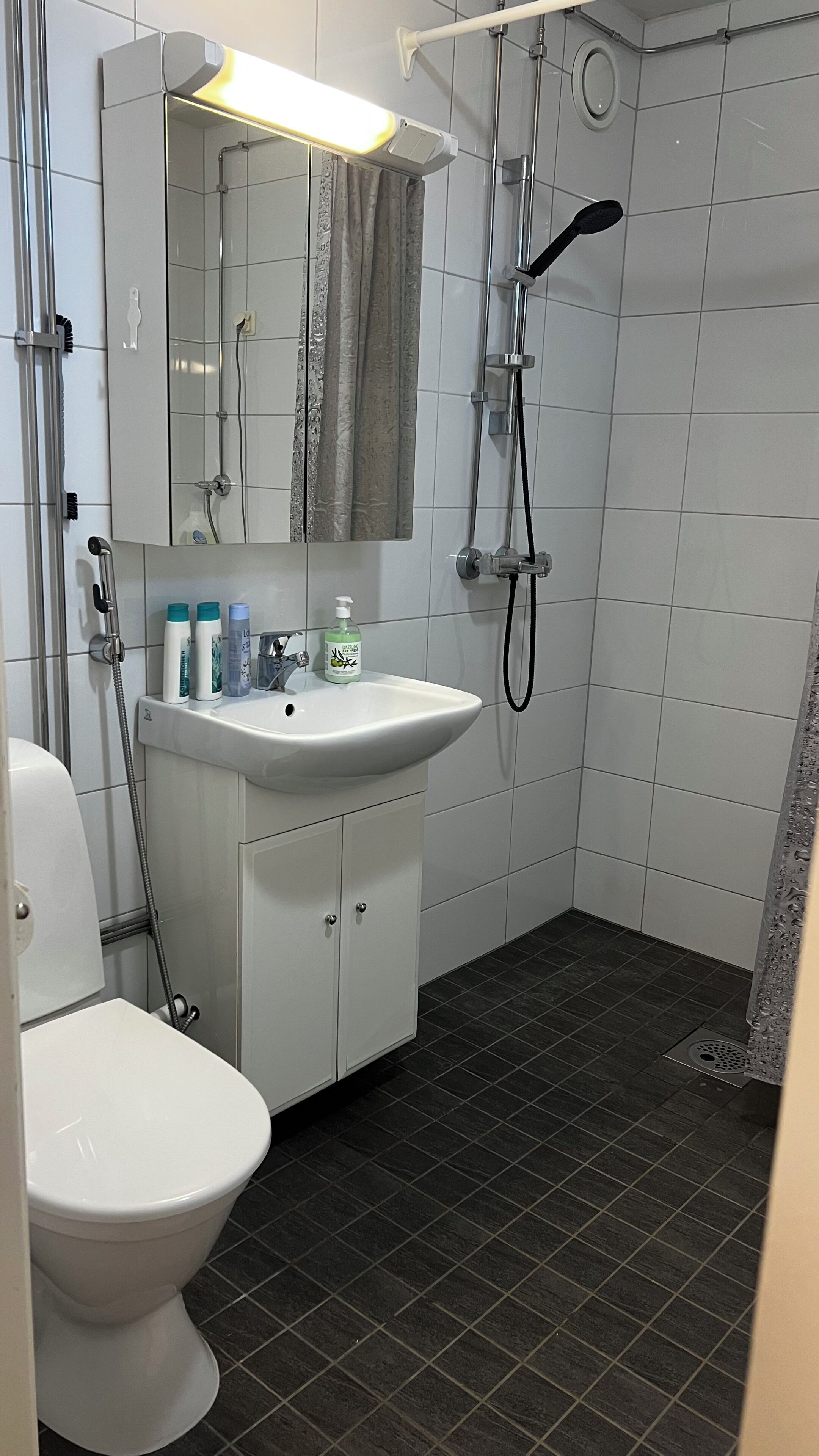 Haartrockner, Bidet, Handtücher, Seife