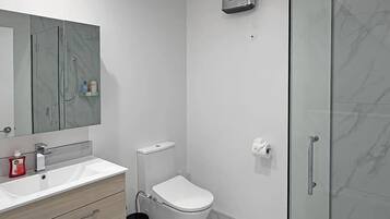 Ein modernes Badezimmer mit Duschkabine aus Glas, Toilette und Waschtisch mit Spiegel.