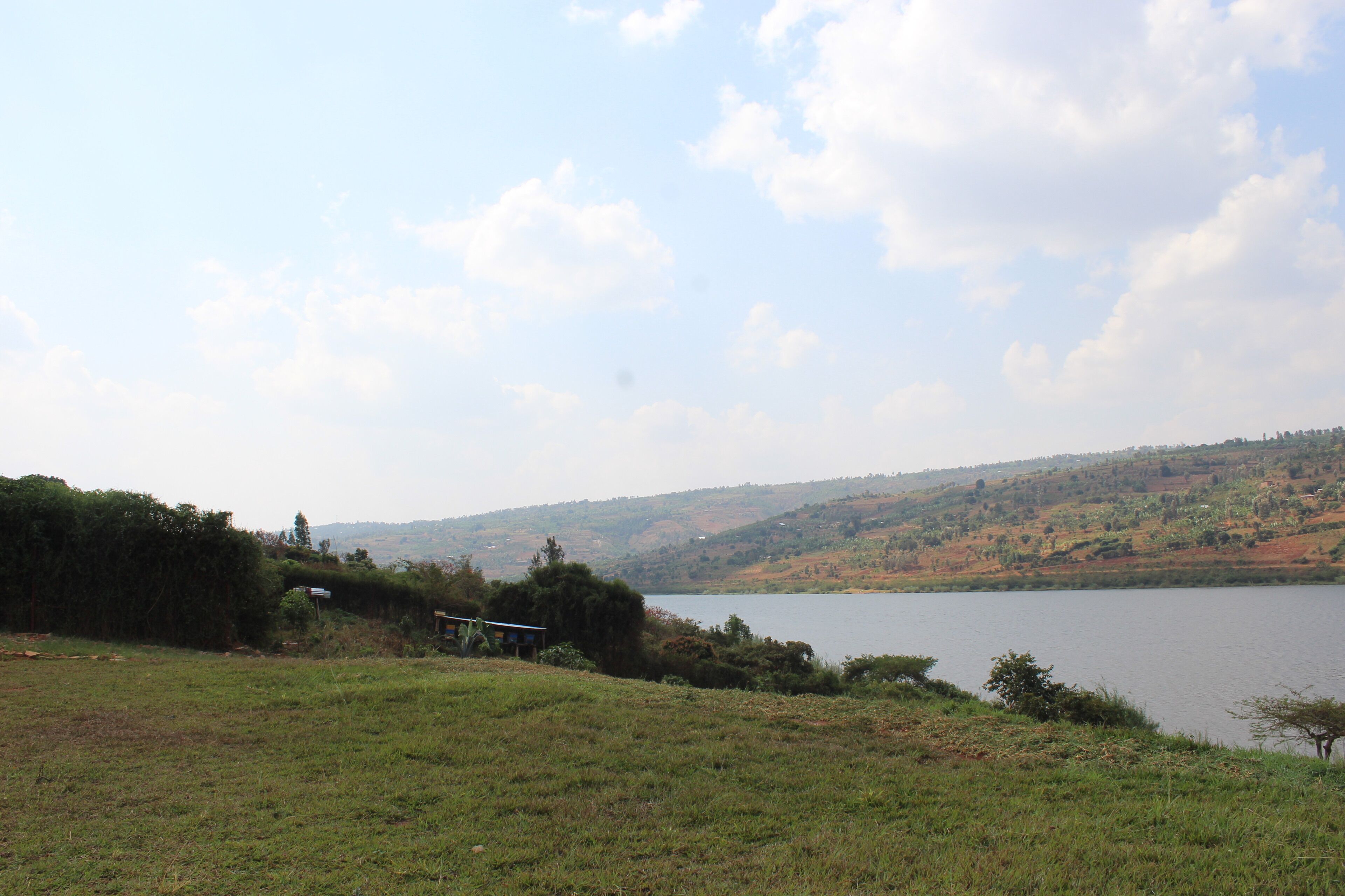 A grassy area with a lake and hills in the background.