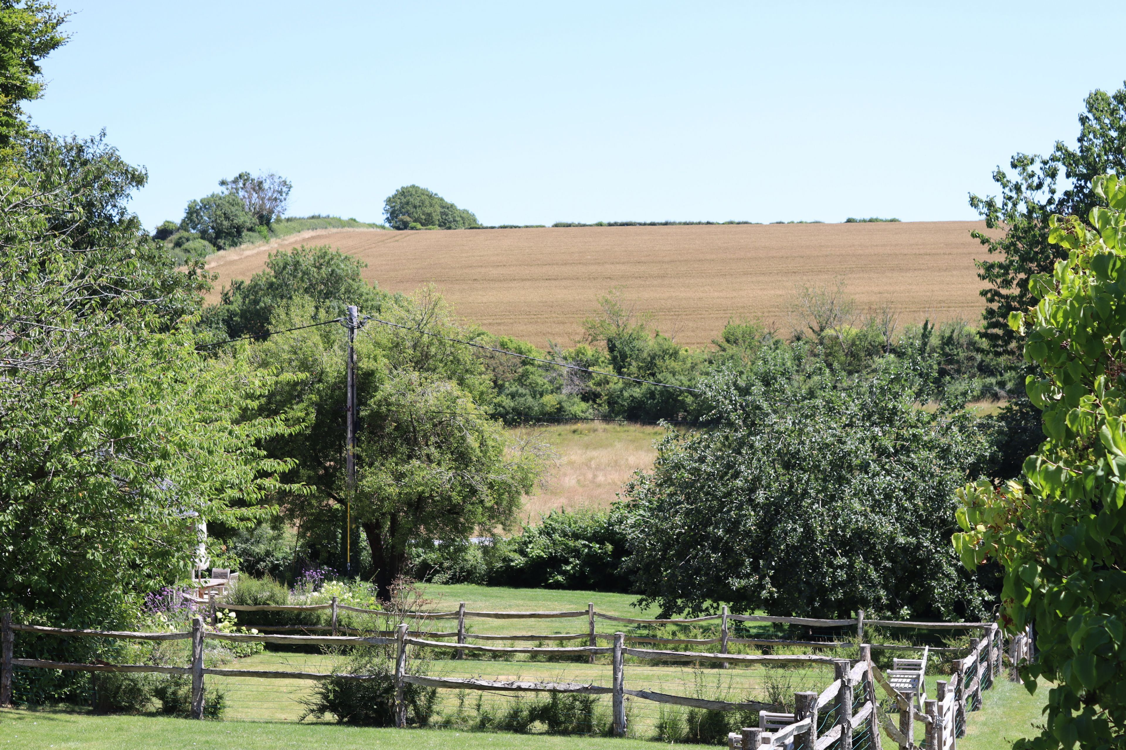 A rural landscape with a field, trees, and a wooden fence.