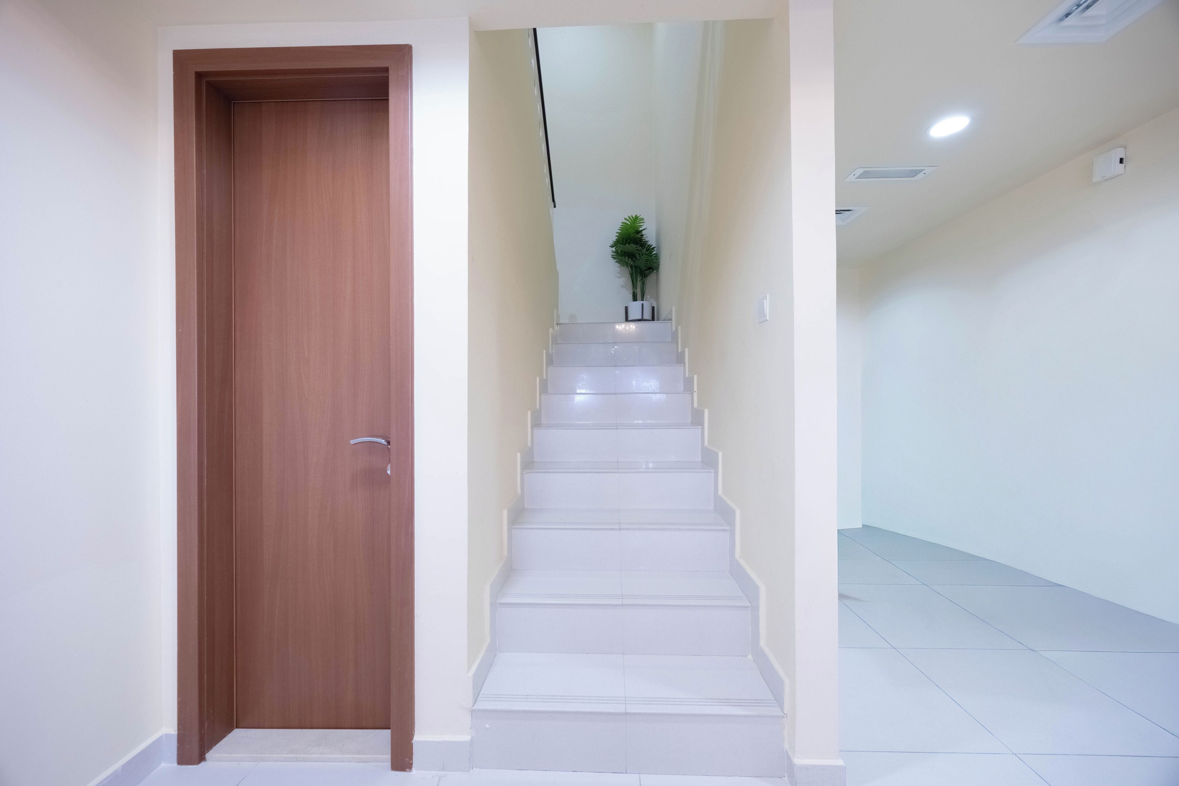 A hallway with a wooden door, white tiled stairs, and a potted plant on the landing.