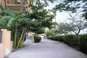 A paved pathway flanked by lush greenery and a building with a balcony.