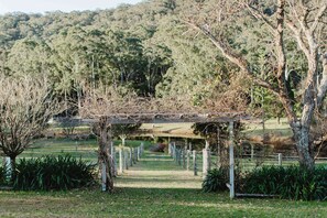 Una estructura de pérgola en un área ajardinada, con árboles y una valla al fondo.