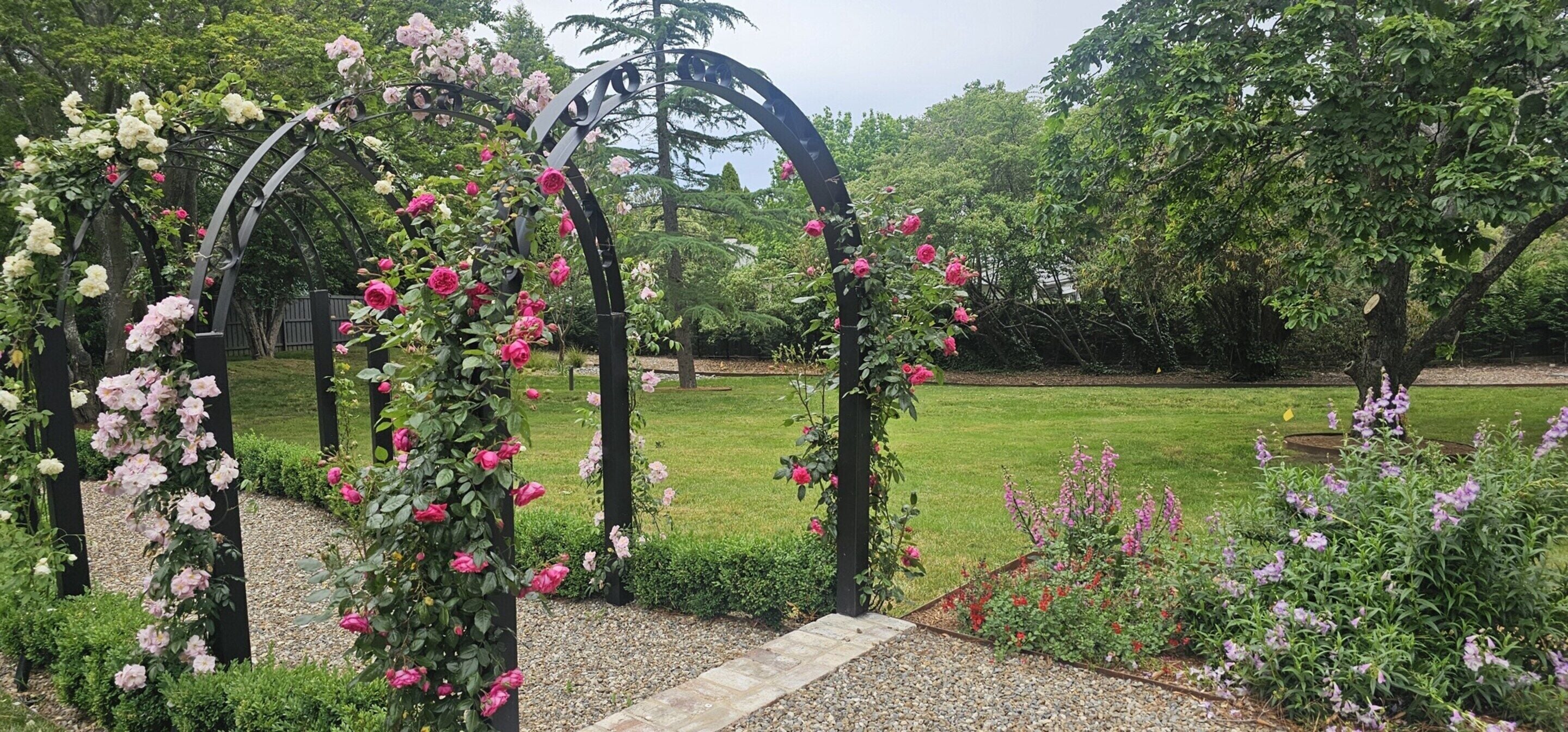 A garden with a pergola covered in roses, a grassy lawn, and various shrubs.