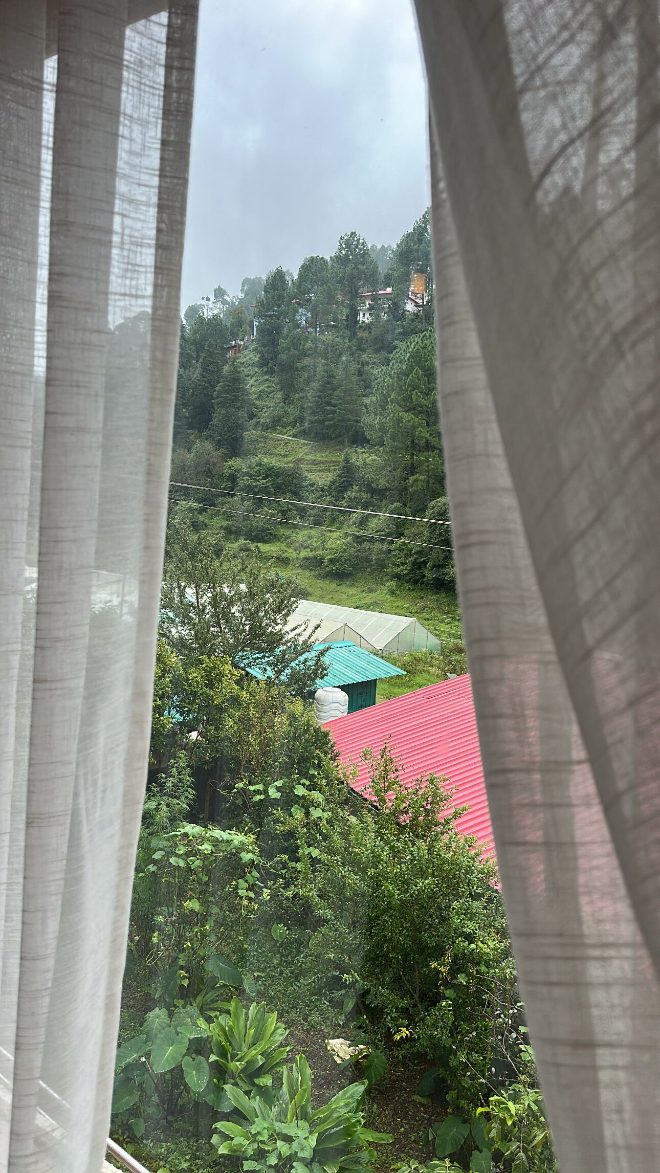 Une vue à travers une fenêtre ornée de rideaux légers, dévoilant un paysage verdoyant luxuriant avec un bâtiment à toit rouge et une construction à toit vert.