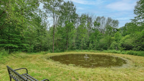 A bench in a grassy area with a pond and trees in the background. - Private Catskills Campsite! Tiny Cabin + Airstream (Sidney Center)