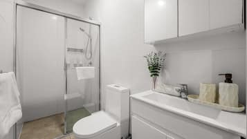 Shower, hair dryer, towels, soap