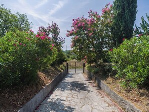 A paved pathway leading to a gated entrance surrounded by lush greenery and flowering plants.