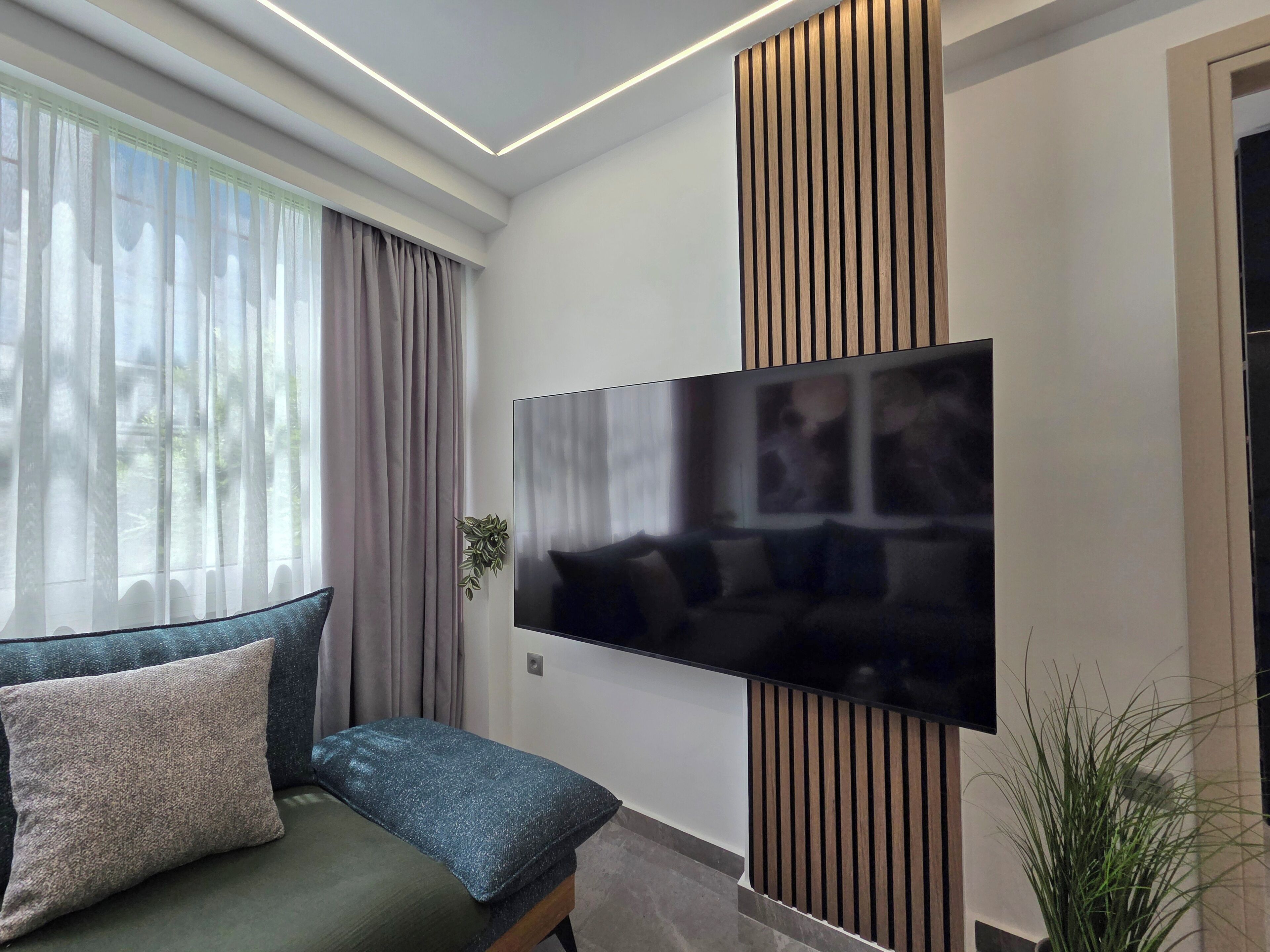 Un salon moderne avec un téléviseur à écran plat fixé au mur, un canapé avec des coussins et une plante en pot.