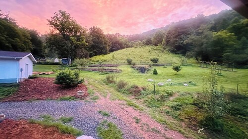Log Cabin Homestead in Wild Harmony Farm’s Permaculture Food Forest