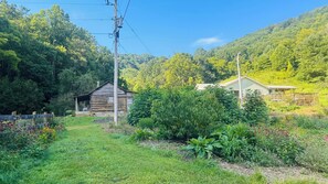A cabin with a wooden exterior, surrounded by lush greenery and a clear sky. - Log Cabin Homestead in Wild Harmony Farm’s Permaculture Food Forest (Marshall)