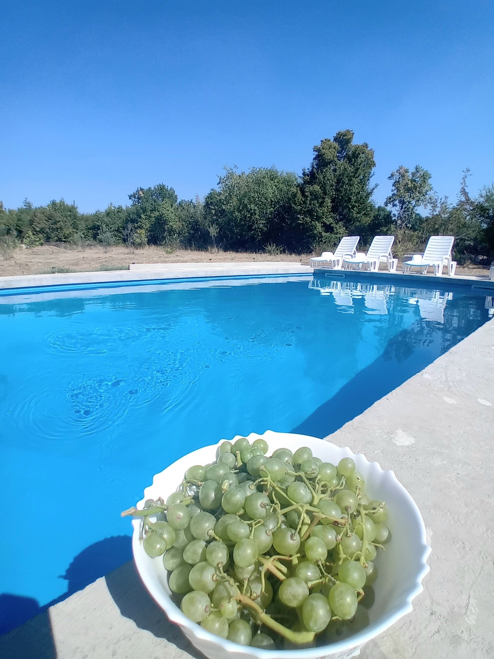 Una piscina con sillones de descanso y un cuenco de uvas verdes.