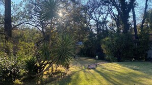 A well-maintained grassy area with a variety of trees and shrubs, a curved stone pathway, and a clear sky. - Lemon Tree Cottage..a little piece of heaven (Johannesburg)