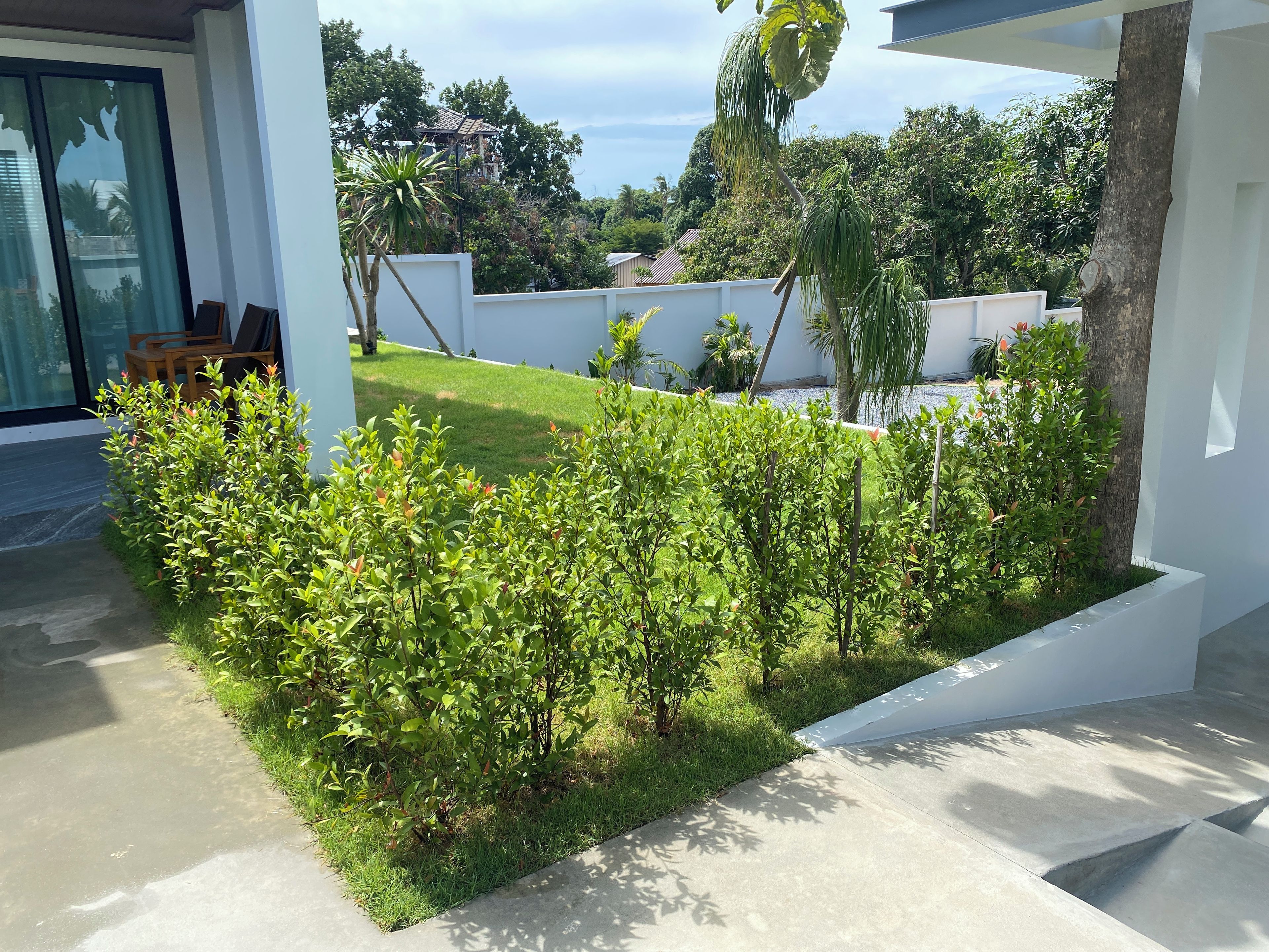 A modern outdoor area with a concrete pathway, neatly trimmed bushes, and a grassy lawn.