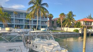 A marina with boats docked, a building with balconies, and palm trees in the background.