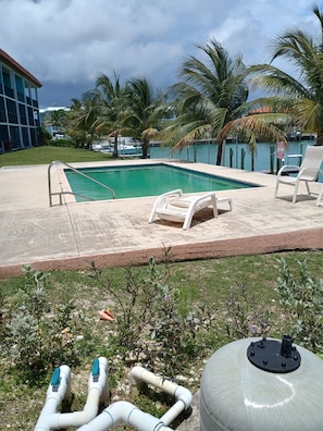 Une piscine avec des chaises longues, des palmiers et un bâtiment en arrière-plan.