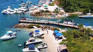 A marina with numerous boats docked, a pier extending into the water, and a city skyline in the background. - Rent The Crafty Mermaid, 2-bedroom house, yard, near Blue Heron dive area (West Palm Beach)