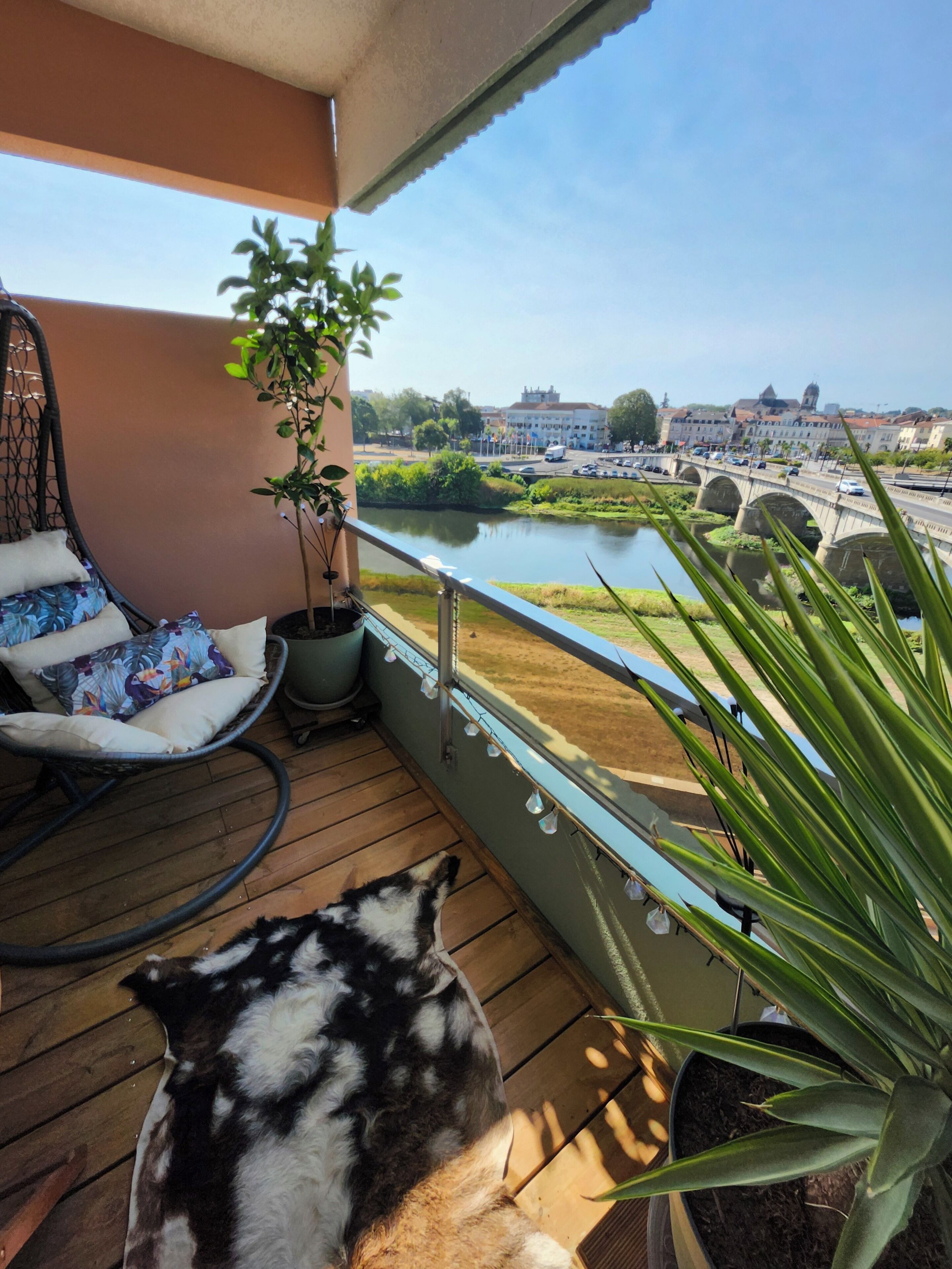 Un balcon avec un plancher en bois, un fauteuil suspendu, une plante en pot et un chien.