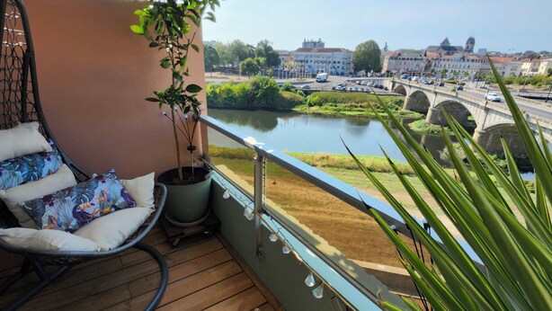 Un balcon avec un plancher en bois, un fauteuil suspendu, une plante en pot et un chien.