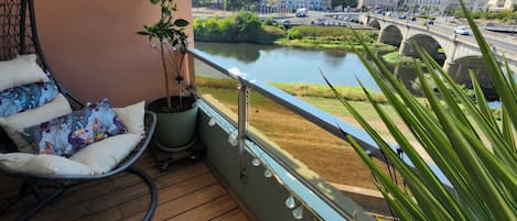 Un balcón con piso de madera, una silla colgante, una planta en maceta y un perro.
