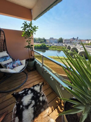 Ein Balkon mit Holzboden, einem Hängekorbsessel, einem Blumentopf und einem Hund.