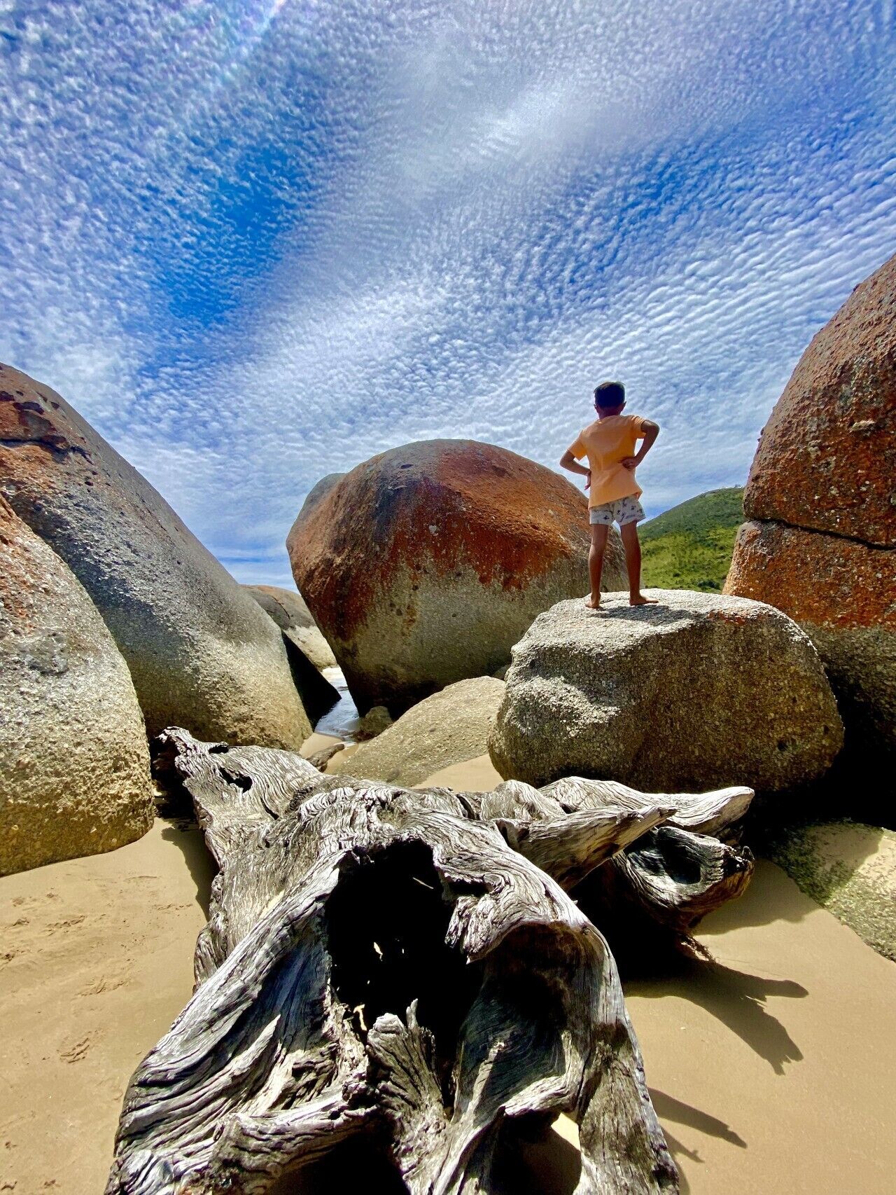 A person standing on a rock with a large tree trunk in the foreground.