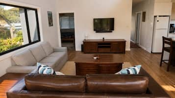 TV og peis
