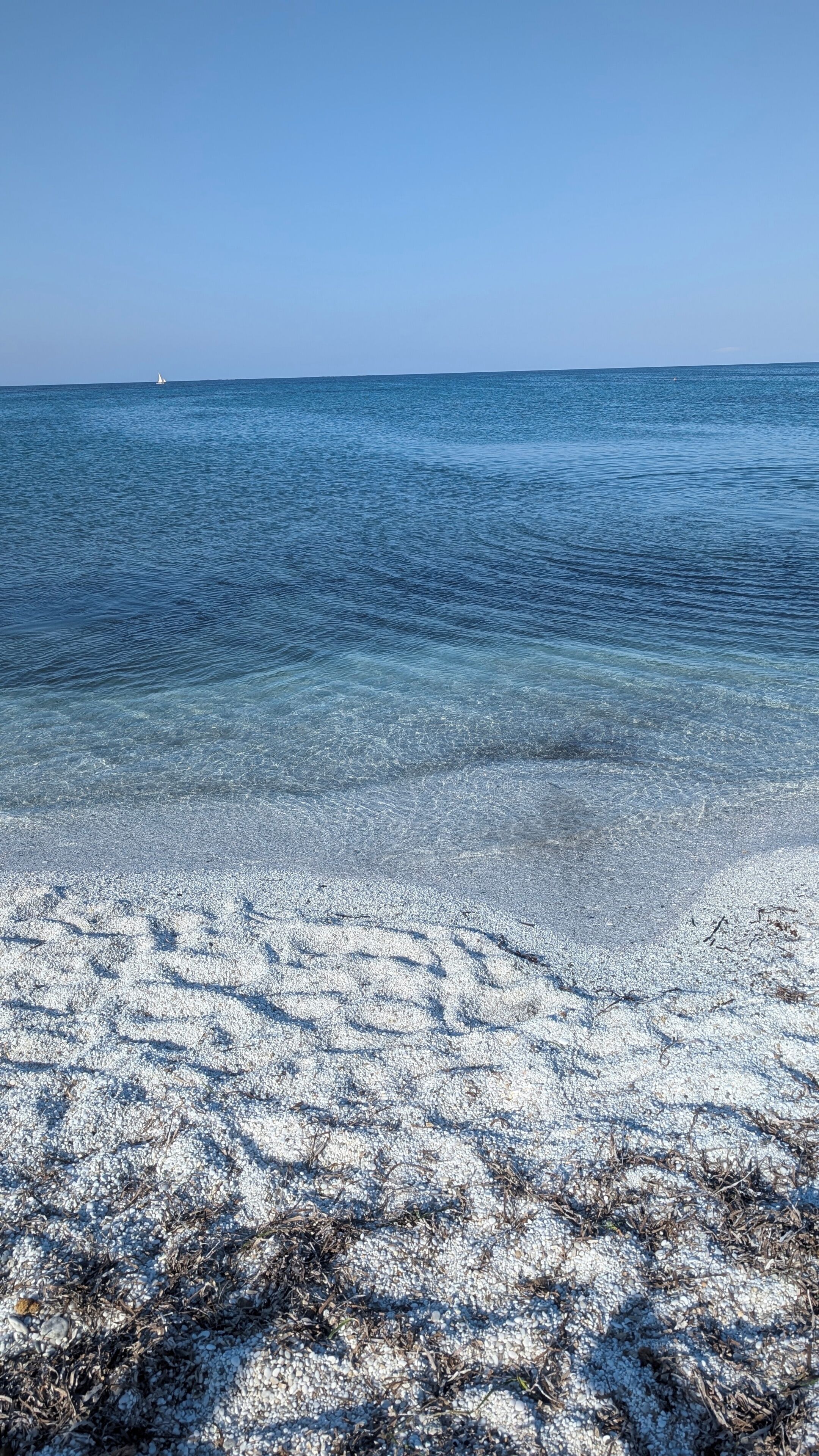 A beach with clear shallow water and a distant sailboat.