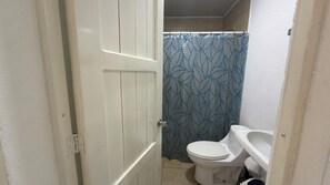 A small bathroom with a toilet, a sink, and a shower curtain with a leaf pattern.