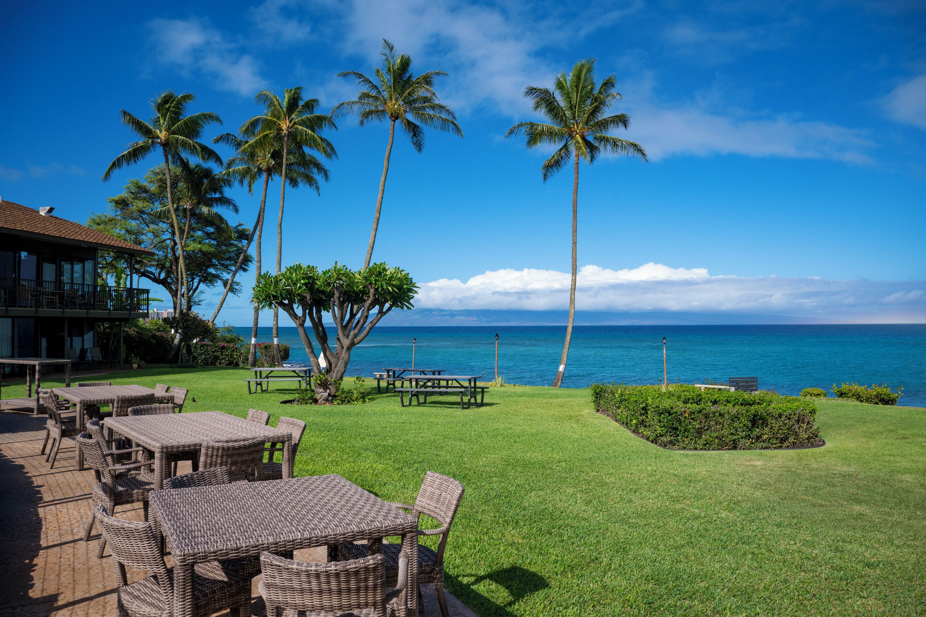A resort with outdoor seating, palm trees, and a view of the ocean.