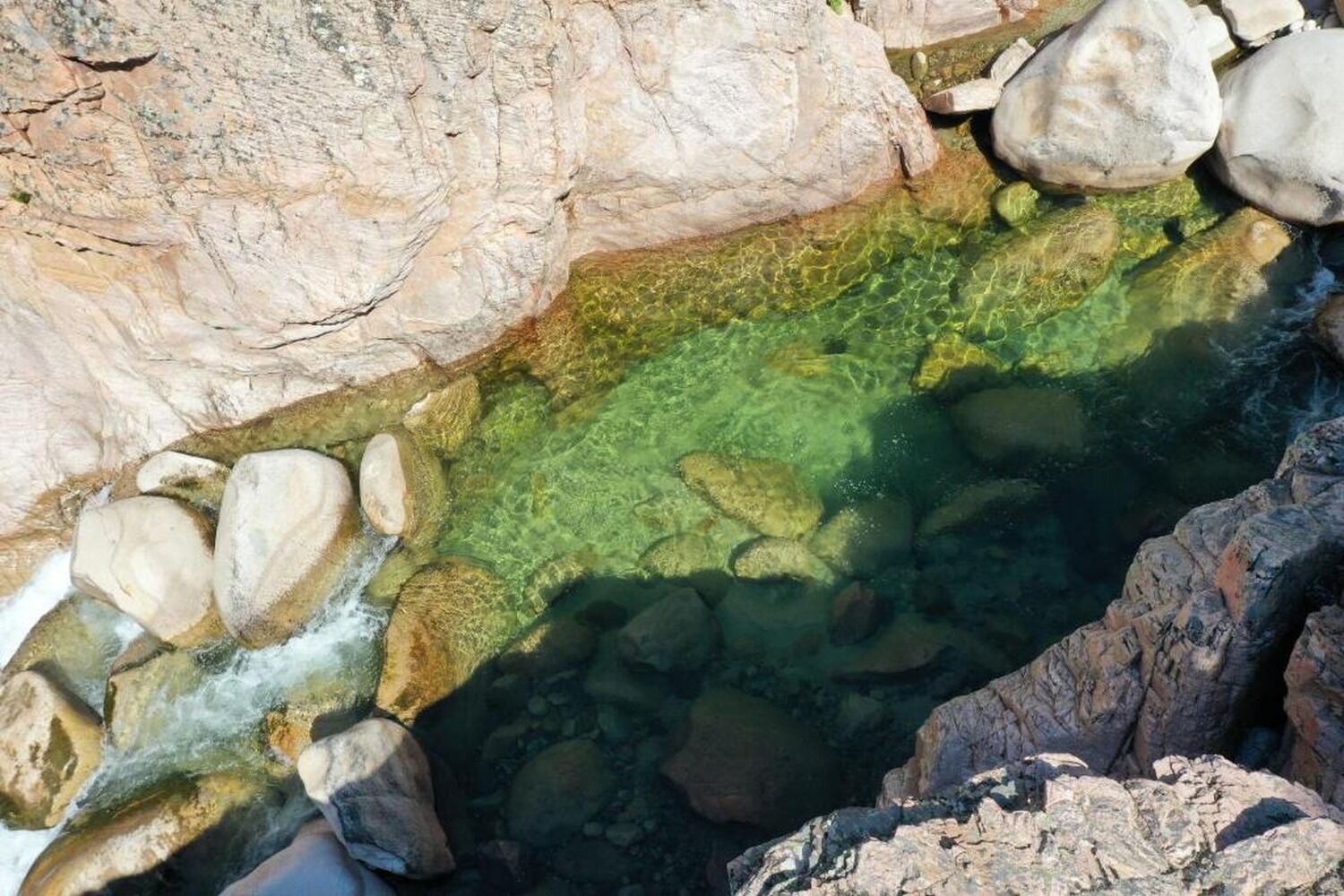 Een zwembad dat natuurlijk aangevoelt, met helder water, omringd door rotsen en stenen.